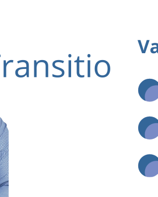 Antti Vienamo transition projektipäällikkö